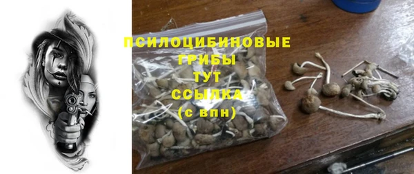 таблы Армянск