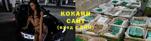 индика Арсеньев
