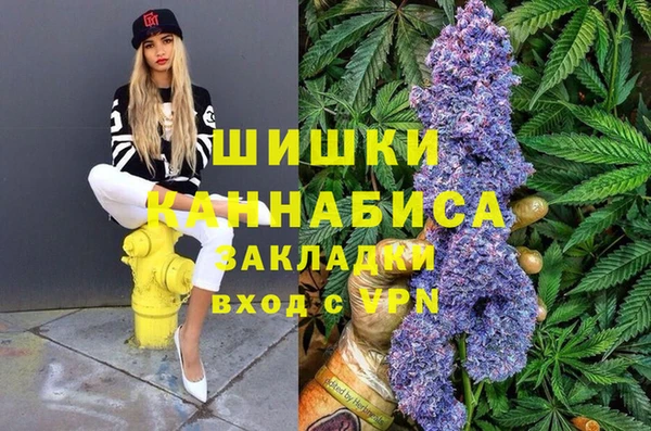 индика Арсеньев