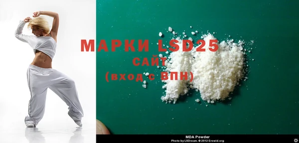 индика Арсеньев
