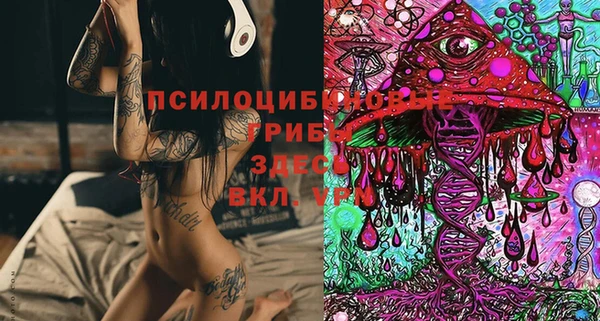 таблы Армянск