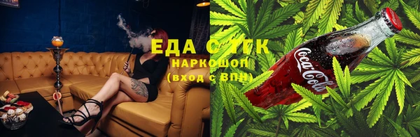 индика Арсеньев