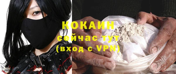 индика Арсеньев