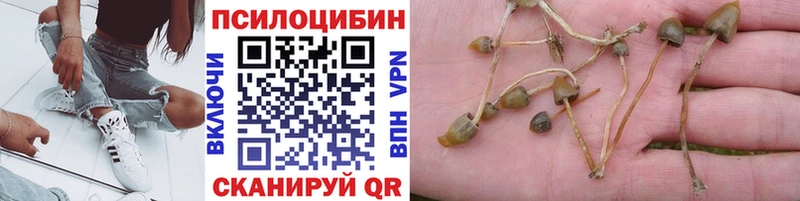 Галлюциногенные грибы GOLDEN TEACHER  купить   blacksprut сайт  Фролово 